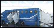 Horse Transport Services in Victoria