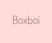 Boxboi the future of delivery services